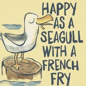 Meet your Posher, Jodi